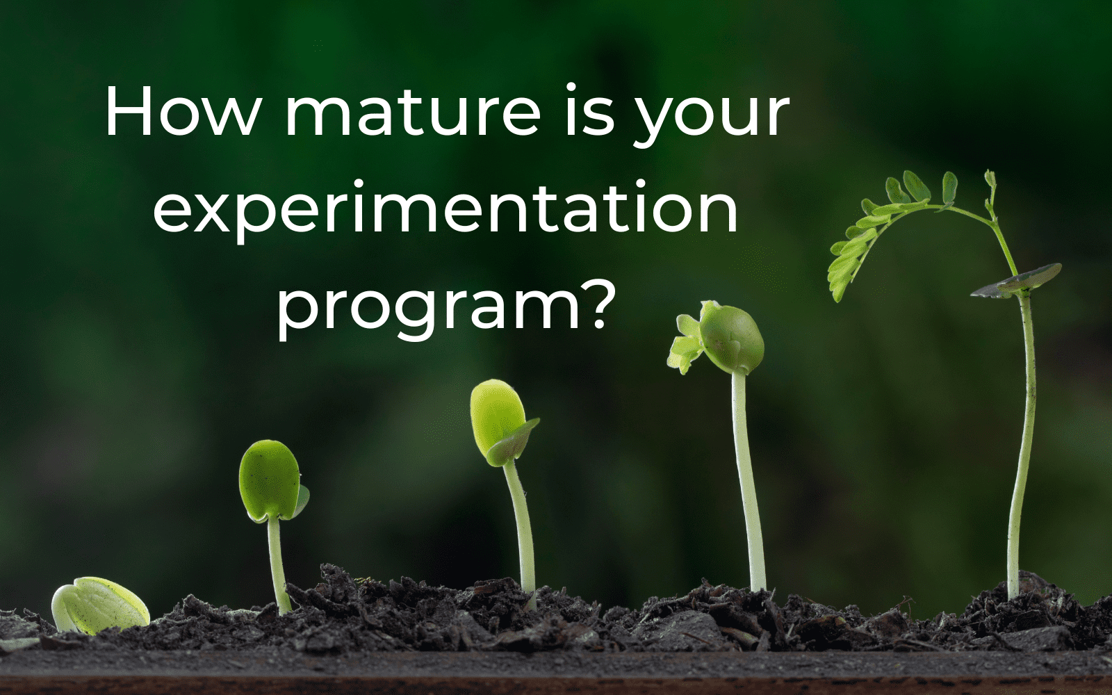 experimentation program maturity